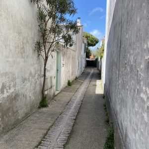 IMG_3120