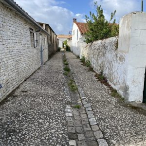 IMG_3127