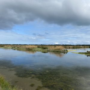 IMG_3177