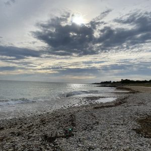 IMG_3211